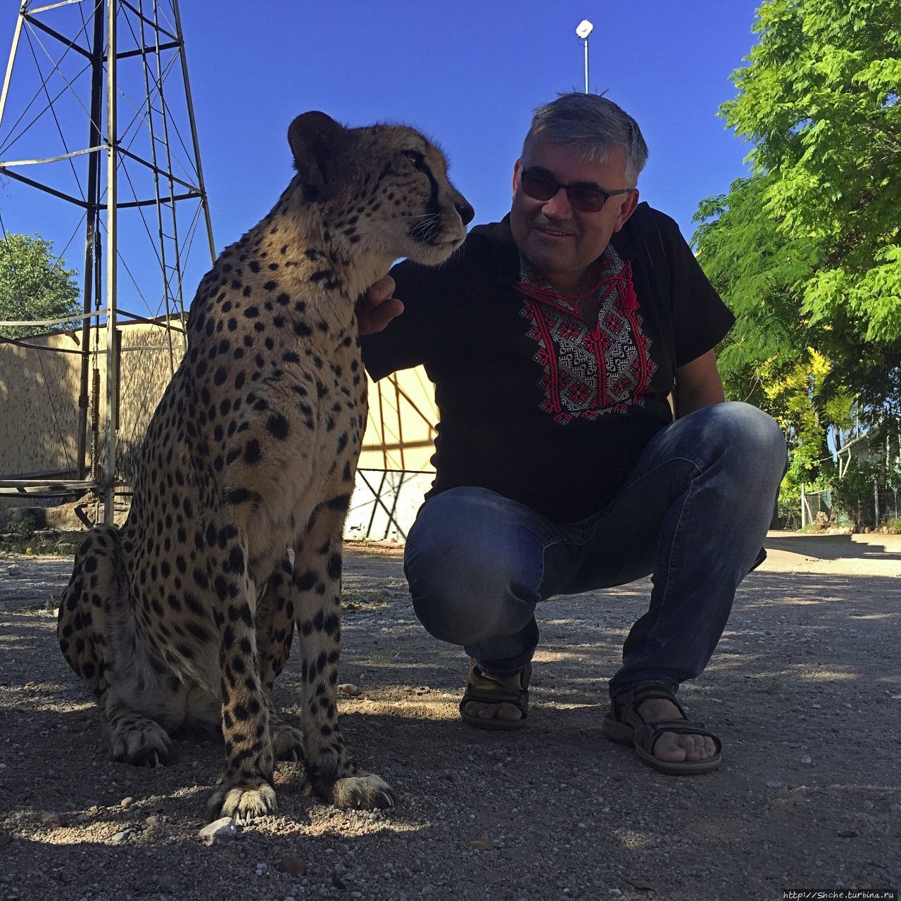 Ожитотонгве (ферма гепардов) Каманжаб, Намибия Ожитотонгве (ферма гепардов) Каманжаб, Намибия