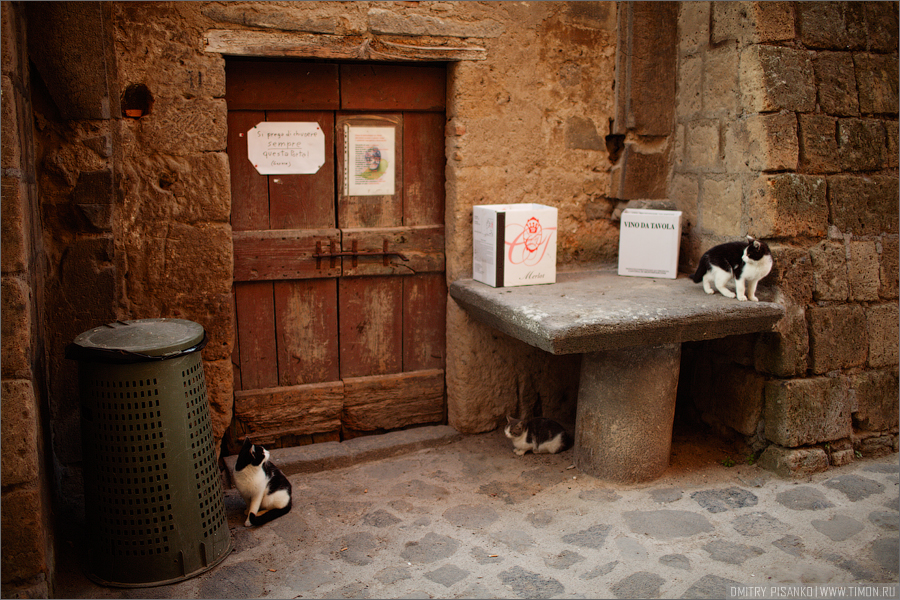 Кстати о кошках, вот кого кого, а их тут было просто какое-то дикое количество, причем их было так много, что даже пять кошек в одном месте уже начинало казаться обычным делом и даже фотоаппарат не поднимаешь ради такого :) Чивита-ди-Баньореджо, Италия