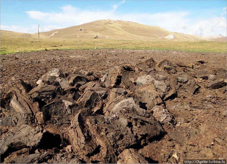 Поленница киргизских дров. В хозяйстве чабана всему своё место найдется... Озеро Сон-Куль, Киргизия Поленница киргизских дров. В хозяйстве чабана всему своё место найдется... Озеро Сон-Куль, Киргизия