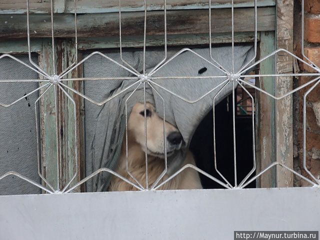 Сельчук, он же бывший Эфес