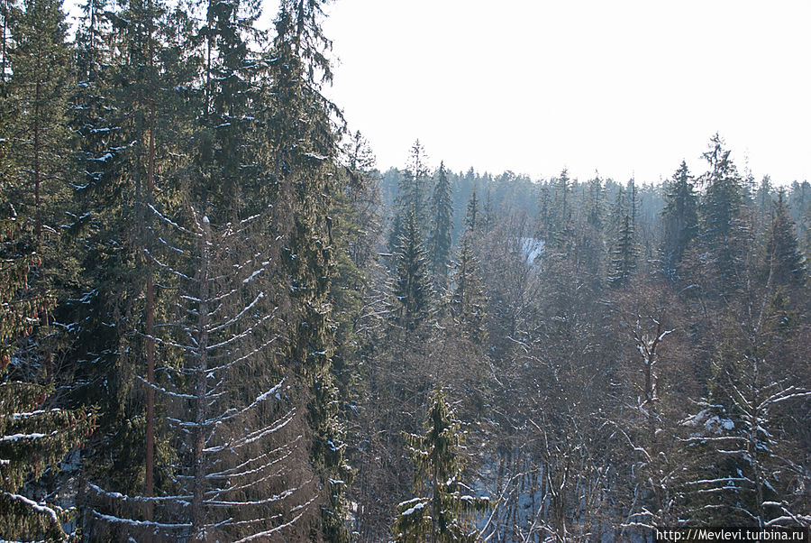 Предчувствие весны. Сигулда в феврале Сигулда, Латвия
