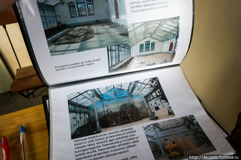 Таким сад был до реконструкции Таким сад был до реконструкции