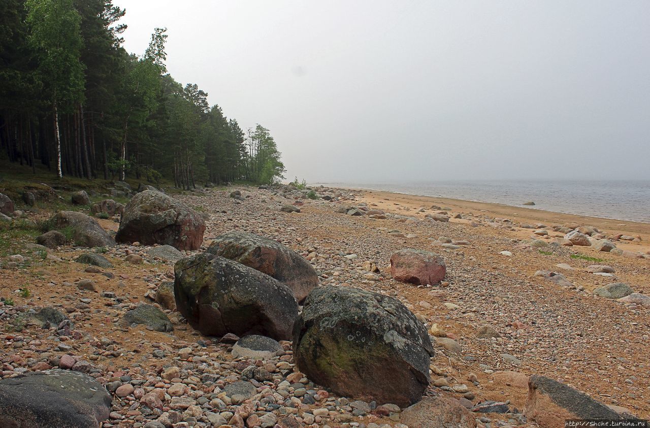 Скалистый берег Видземе Видземские скалы, Латвия