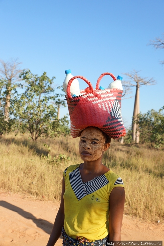 На цыпочках по Мадагаскару Мадагаскар