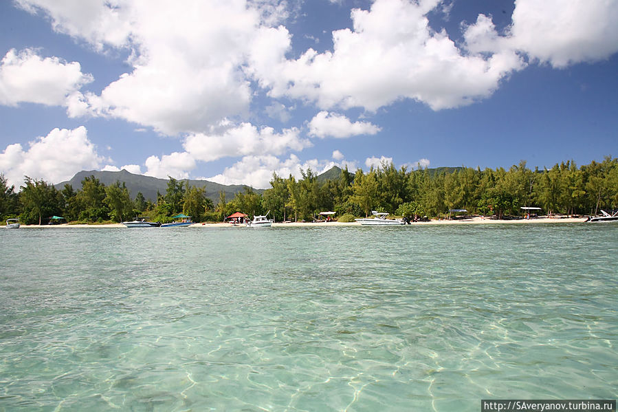 Чистейшие воды Чистейшие воды