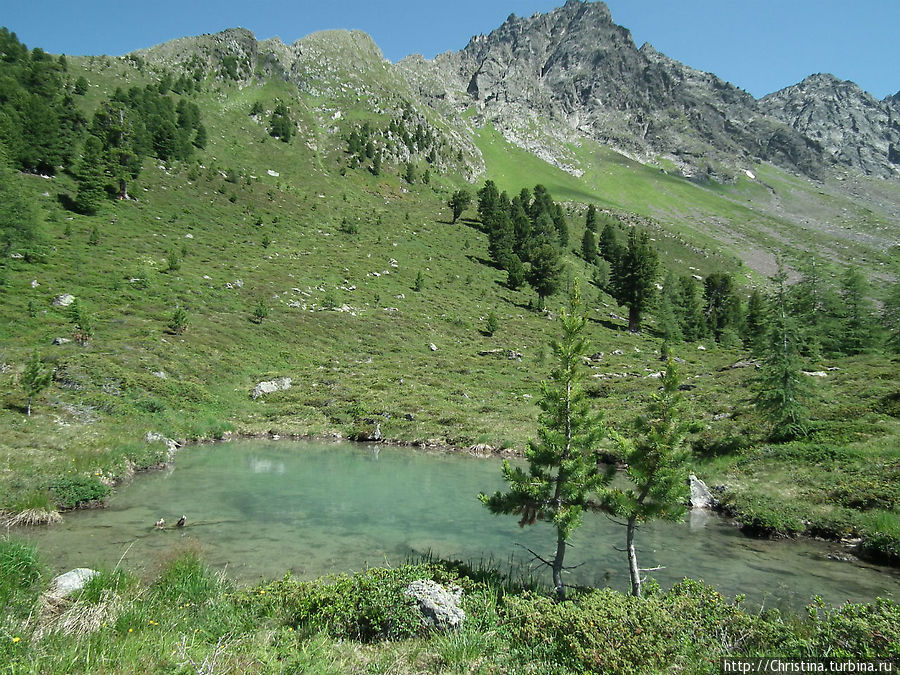 Сливаясь с природой по маршруту  Bergli — Larein Матон, Австрия