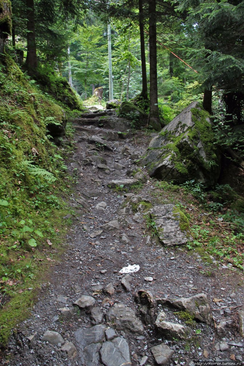 Гиссбах Бриенц, Швейцария