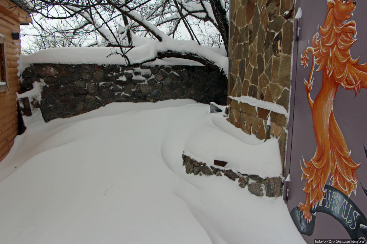 Намело сугробы белые Харьковская область, Украина Намело сугробы белые Харьковская область, Украина