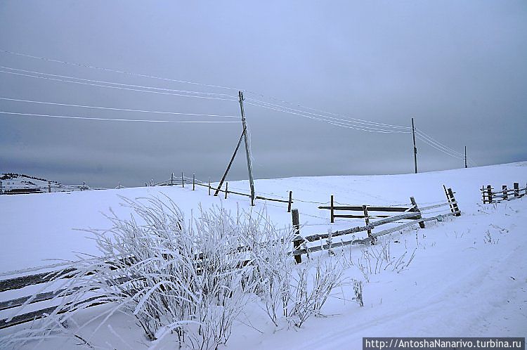 Буковец Буковец, Украина