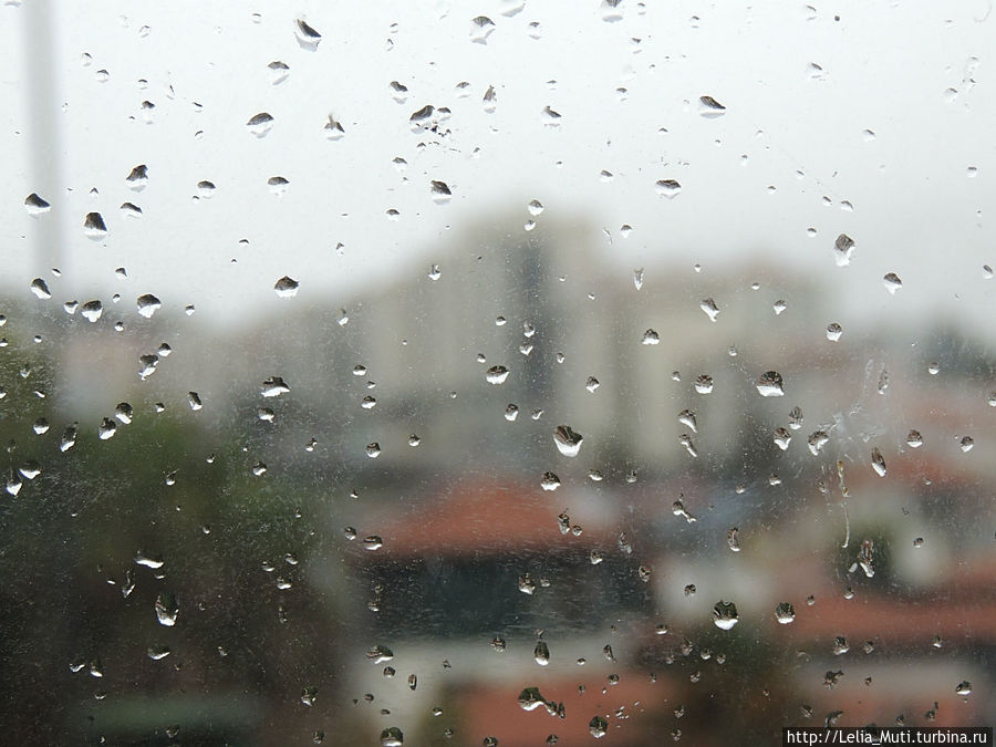 Плачущий Фуншал. Фуншал, Португалия Плачущий Фуншал. Фуншал, Португалия