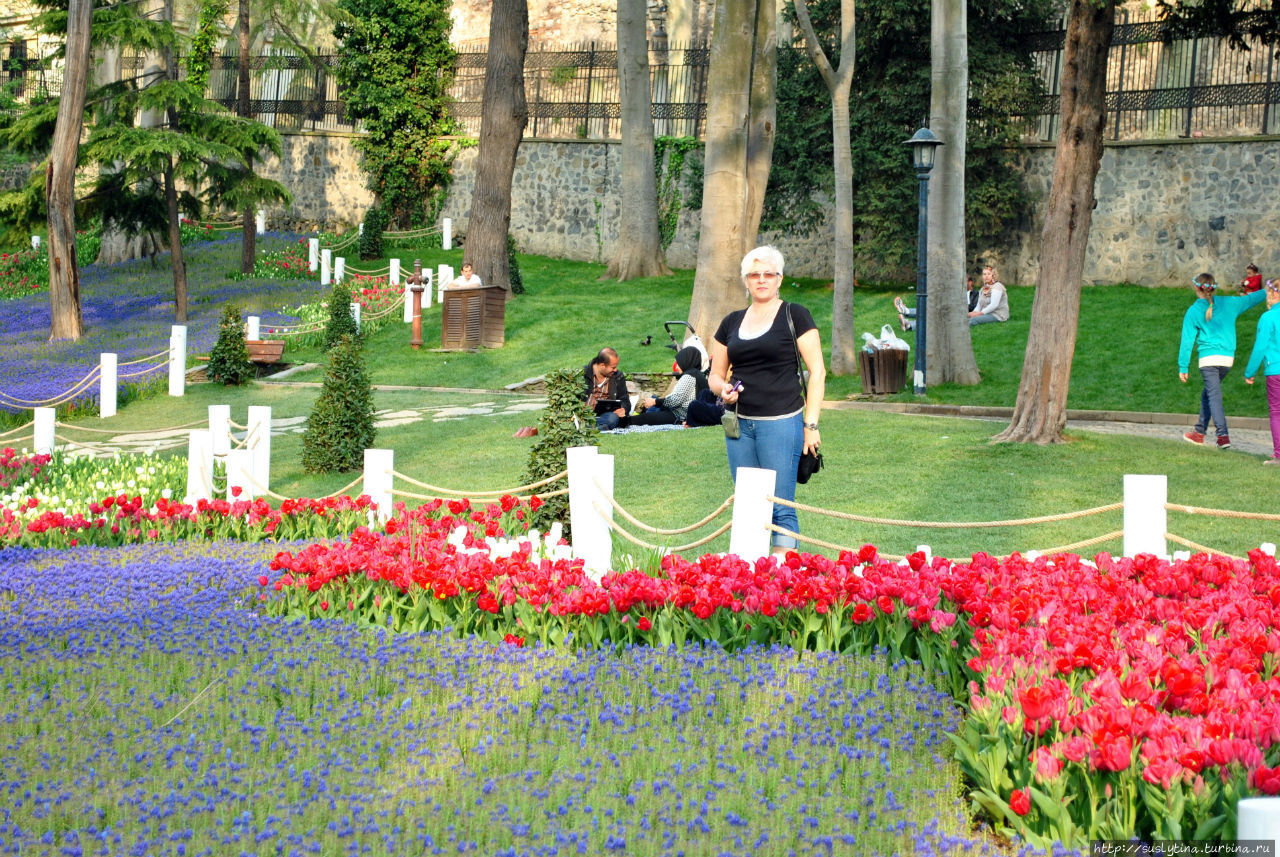 Тюльпаны,кругом прекрасные тюльпаны и не менее красивые люди! Стамбул, Турция