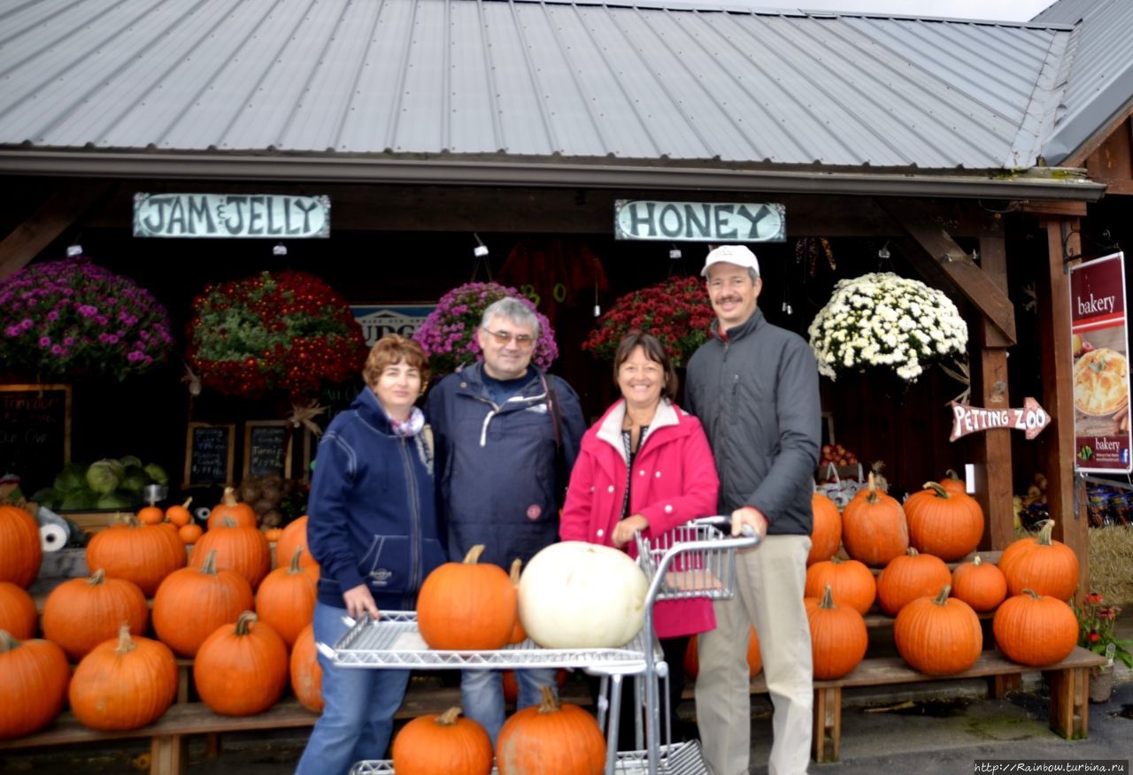 Приключения украинцев в Америке Штат Массачусетс, CША Приключения украинцев в Америке Штат Массачусетс, CША