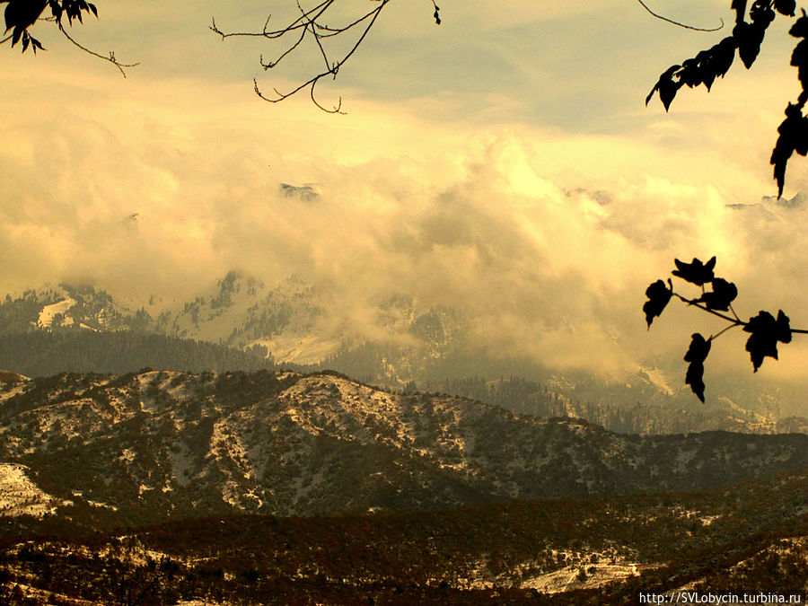 Вид с горы Кок-Тобе Вид с горы Кок-Тобе