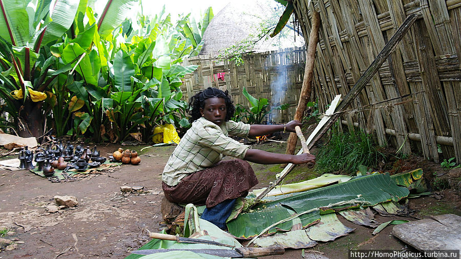 Настругивание лже-банана Ченча, Эфиопия