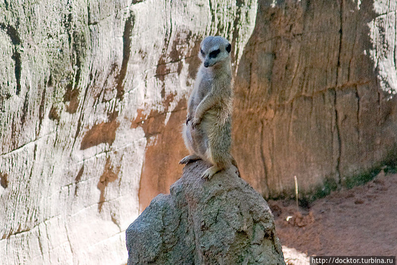 В Биопарке В Биопарке