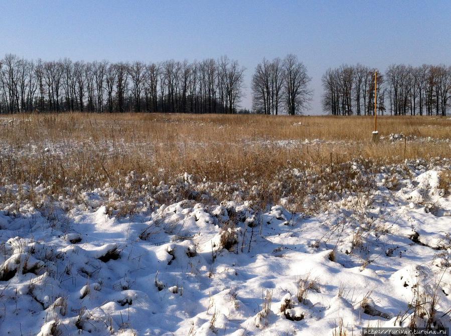 Грудень — это Декабрь! Киев, Украина Грудень — это Декабрь! Киев, Украина