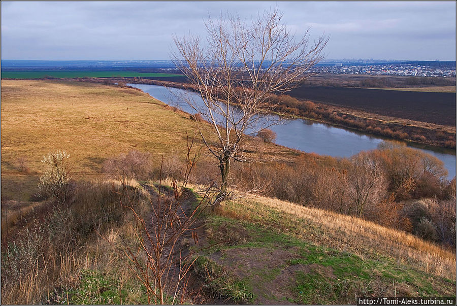 Краски воронежской осени Воронеж, Россия