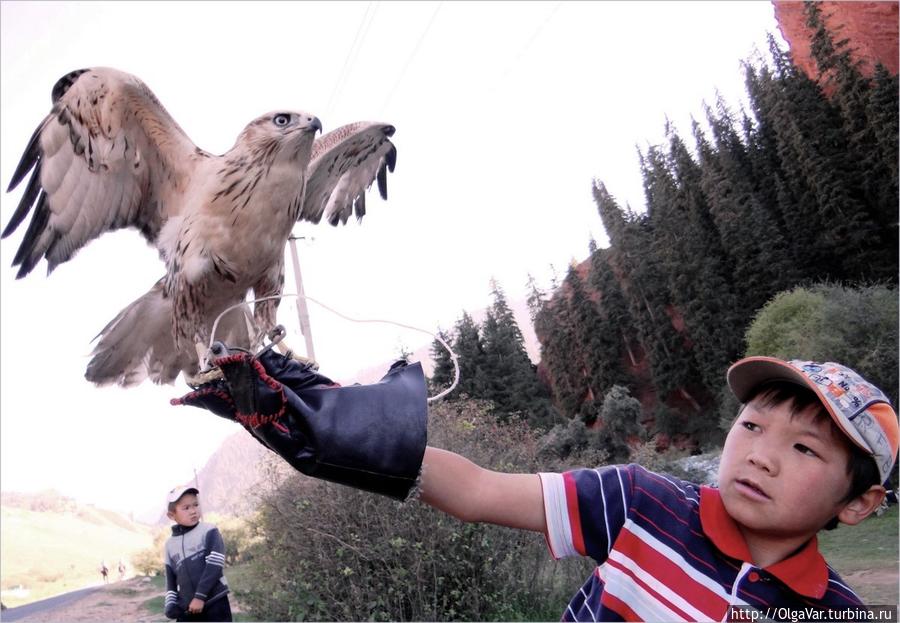 Ущелье Семь Быков: быль и небыль Иссык-Кульская область, Киргизия Ущелье Семь Быков: быль и небыль Иссык-Кульская область, Киргизия