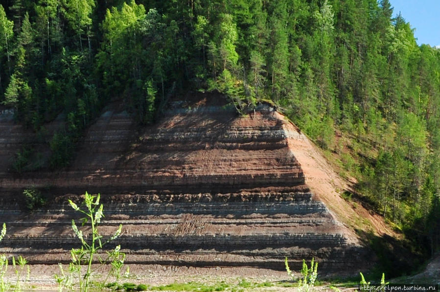 Уникальные геологические обнажения на реке Сухона Опоки, Россия