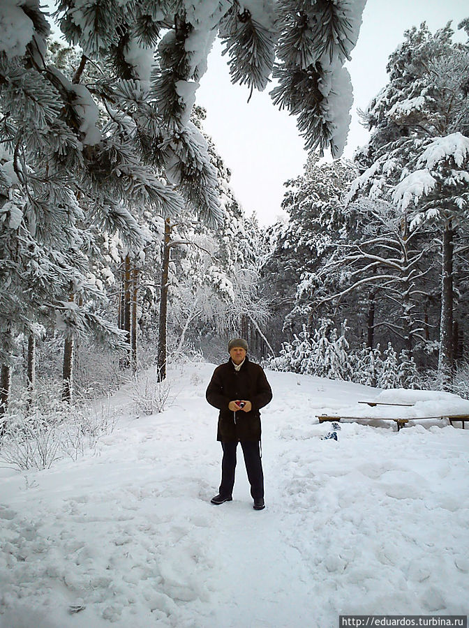 Такого заснеженного леса вам ещё точо не доводилось видеть) Железногорск, Россия Такого заснеженного леса вам ещё точо не доводилось видеть) Железногорск, Россия