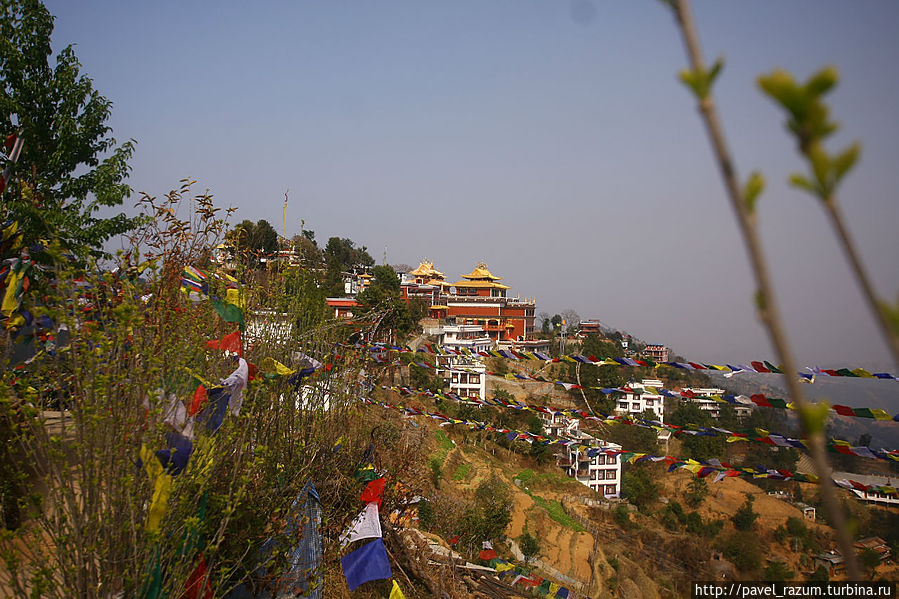 Индо-Непал (29) — В своём родном Катманду... Катманду, Непал