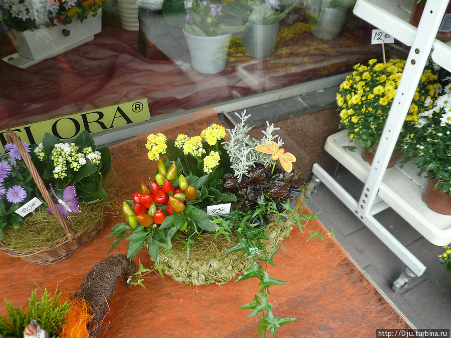 Воскресная ярмарка в Хямеенлинне Хяменлинна, Финляндия Воскресная ярмарка в Хямеенлинне Хяменлинна, Финляндия