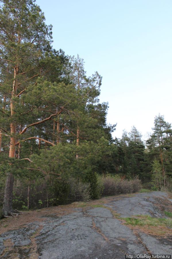 Вот с этого утёса можно любоваться крепостью Савонлинна, Финляндия