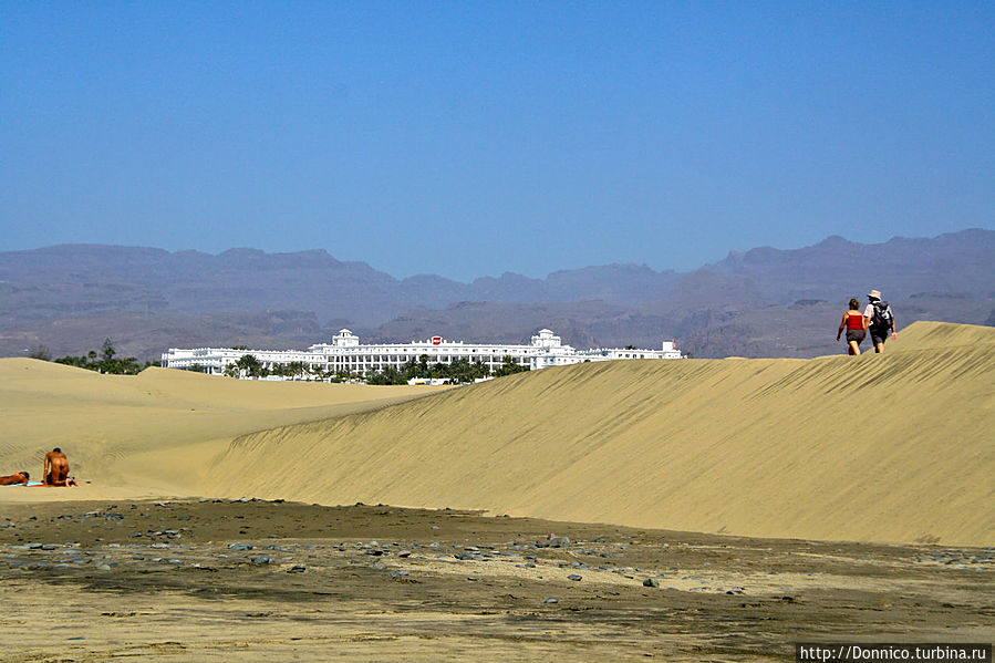 чуть дальше нудисты и не-нудисты полностью перемешиваются и делают вид что все ОК чуть дальше нудисты и не-нудисты полностью перемешиваются и делают вид что все ОК