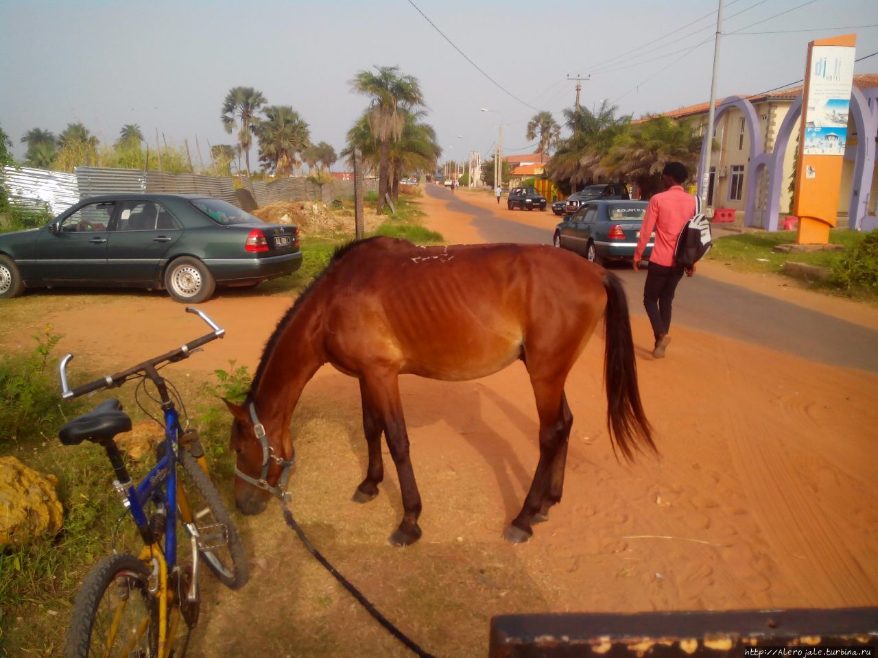 Бамбоо Гарден Кололи, Гамбия