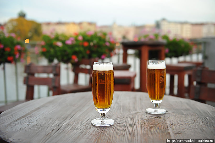 По пивку? По пивку?