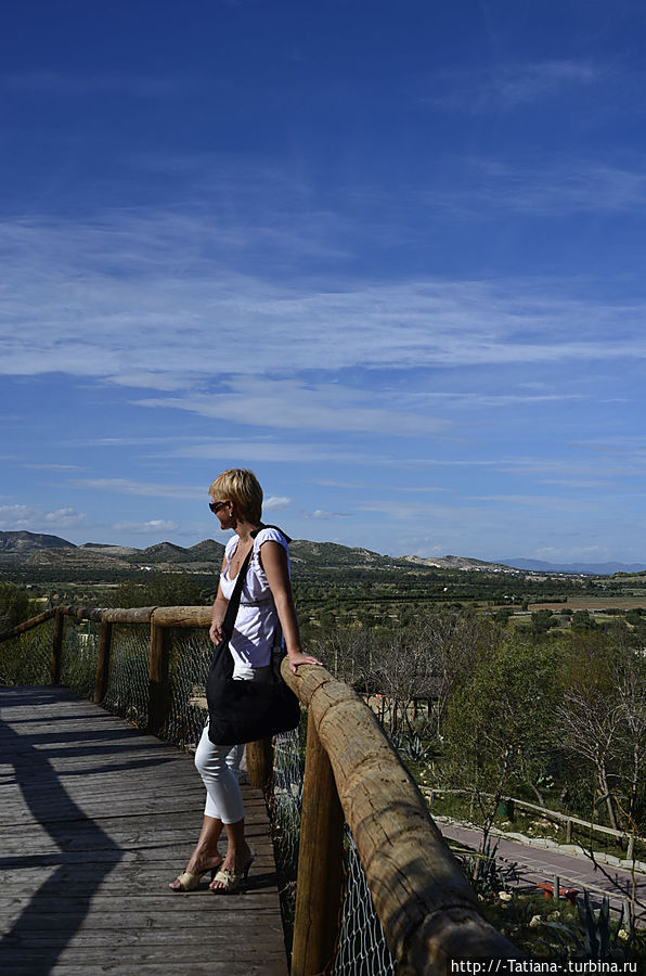 Над всеми хищниками сверху вот такие мосты. И вниз и в даль посмотреть интересно. Над всеми хищниками сверху вот такие мосты. И вниз и в даль посмотреть интересно.