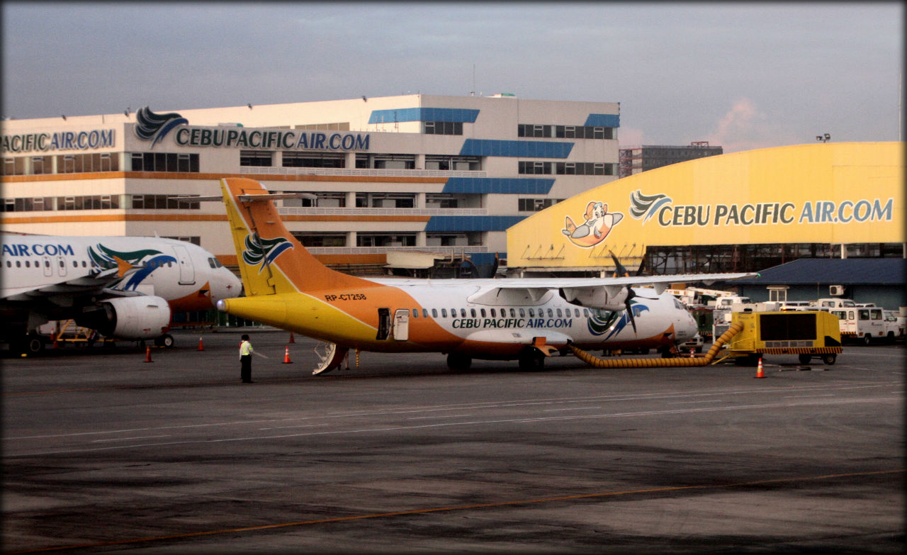 Крылья наших мечтаний Крылья наших мечтаний