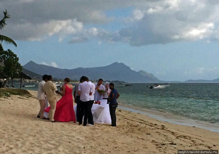 Люблю рассматривать чужих невест... Свадьба на Маврикии Флик-ан-Флак, Маврикий