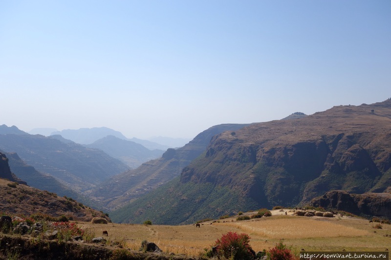 За горами и геладами Сымен Национальный Парк, Эфиопия