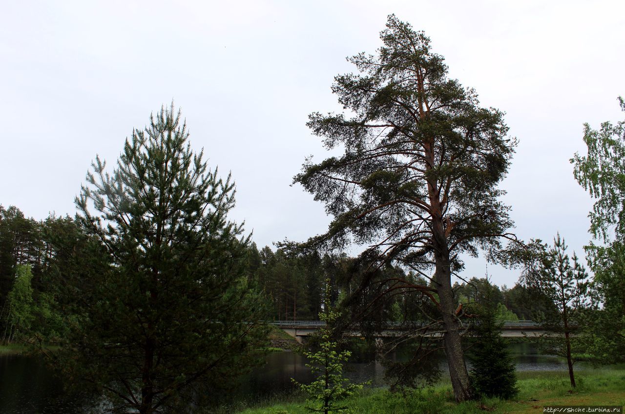 Старая церковь Петяйявеси, Финляндия