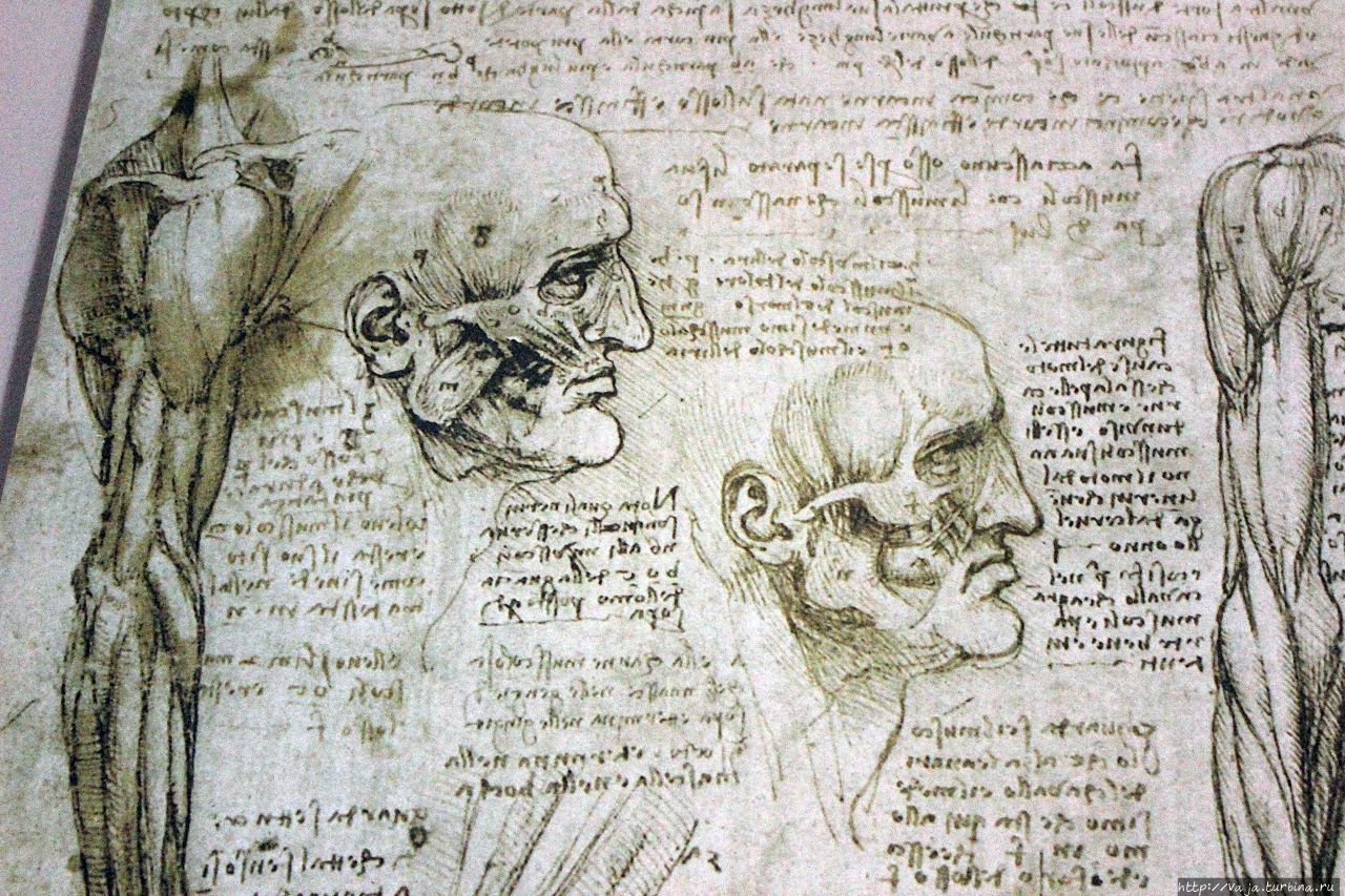 Музей Леонардо да Винчи Венеция, Италия Музей Леонардо да Винчи Венеция, Италия