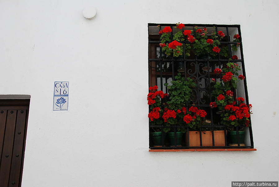 Цветочная картина на белой стене типична для Белых городов Андалусии. Но эта была одной из первых. И она родом из Ронды, а значит вне конкуренции. Ронда, Испания