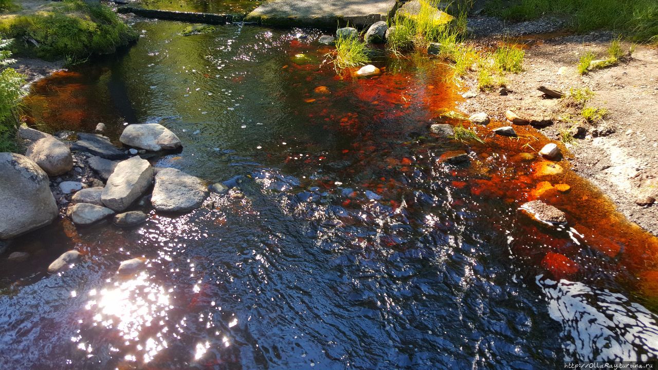 Август по-карельски (альбом). Республика Карелия, Россия Август по-карельски (альбом). Республика Карелия, Россия