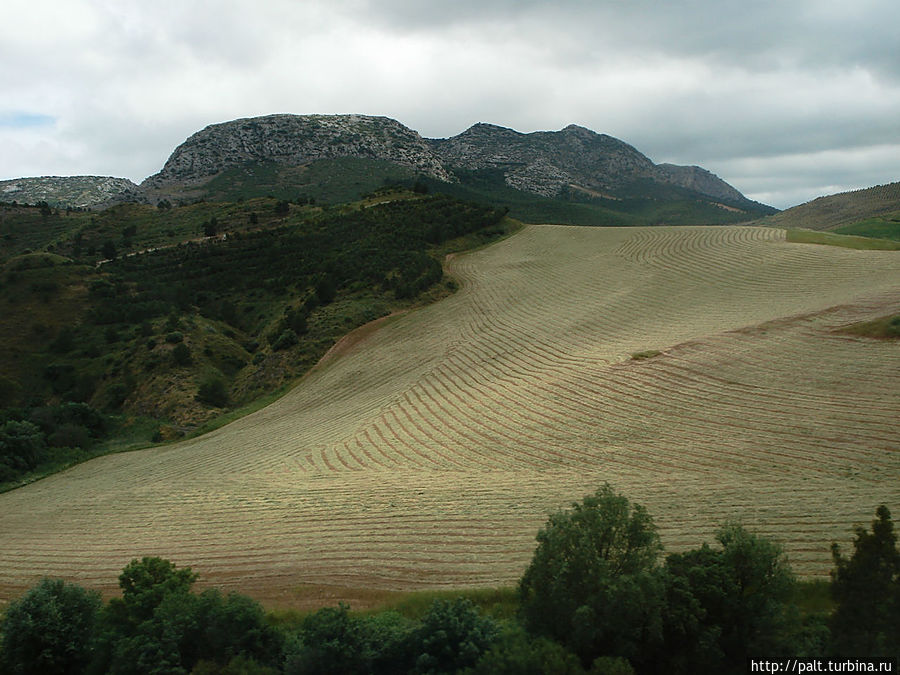 Дорога в Ронду Андалусия, Испания Дорога в Ронду Андалусия, Испания