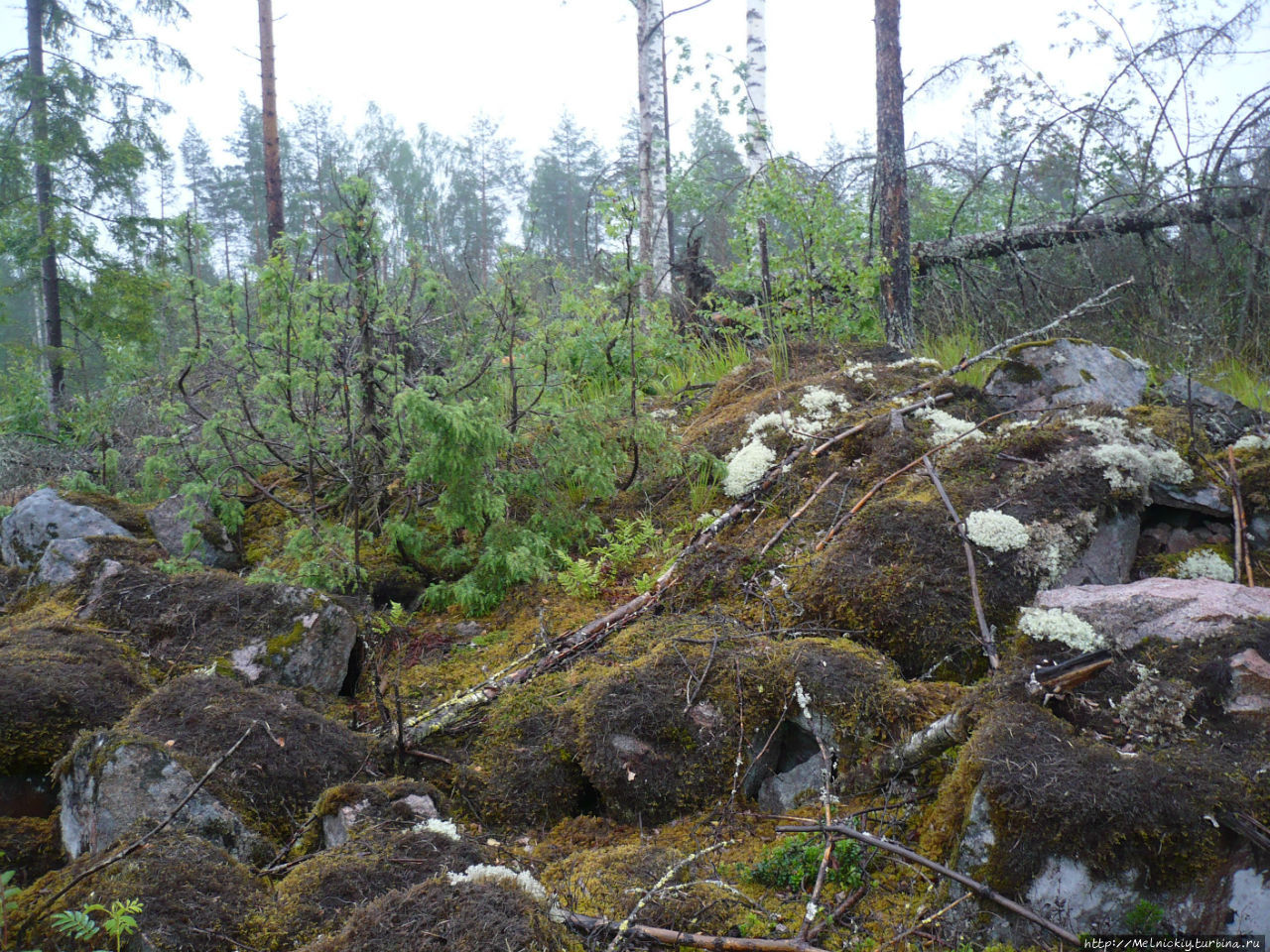 Заброшенный дот на линии Салпа Руоколахти, Финляндия