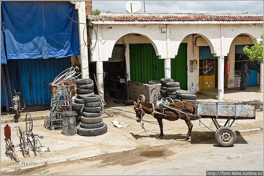 Придорожная жизнь...
* Сафи, Марокко