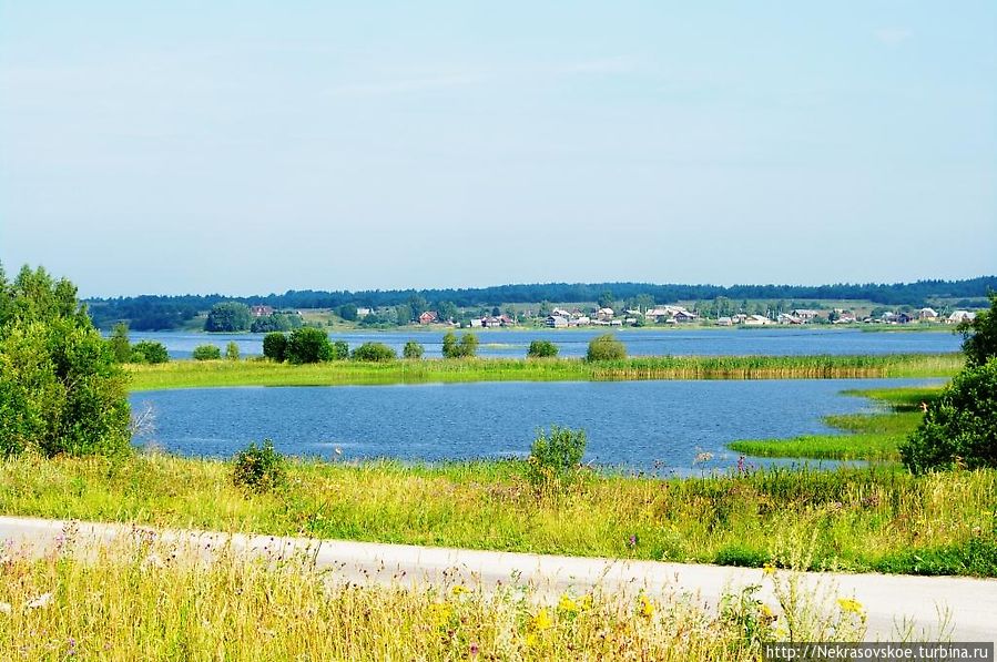 На развилке дорог также открывается панорама на Бородаевское озеро Ферапонтово, Россия