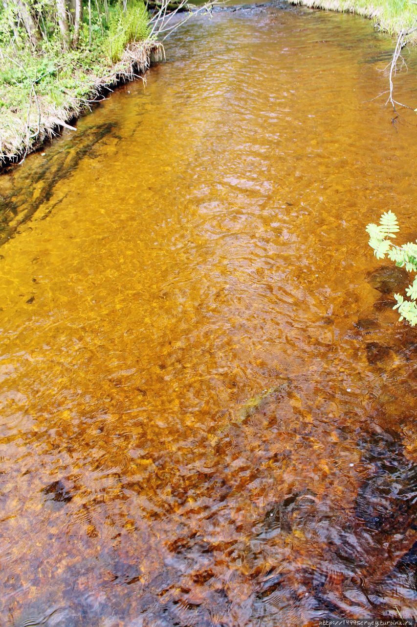 Гневная река Вихайоки (Vihajoki). Не канувшая в Лету Приморск, Россия