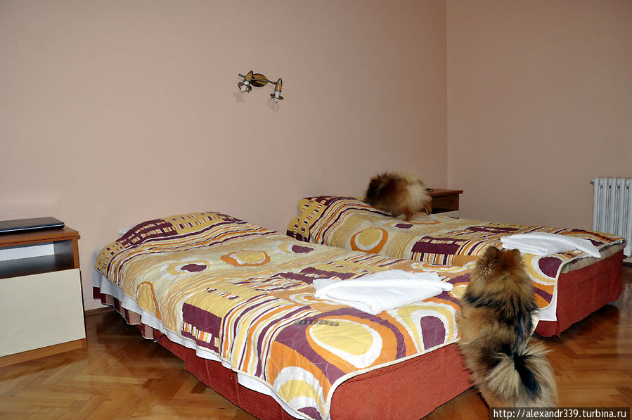 У каждого в этом номере своя кровать Нови-Сад, Сербия