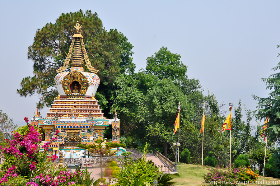 Вообще, территория монастыря — очень ухоженная и опрятная. Растет множество цветов и различных диковинных растений. Катманду, Непал