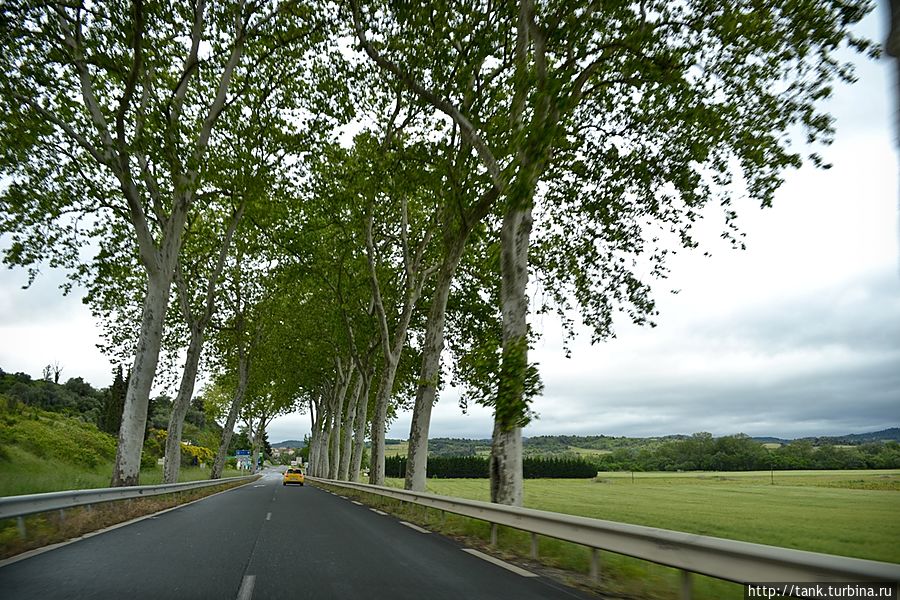 Картинка за окном изменилась, появились  длинные коридоры из  высоких деревьев, протянувшиеся через фермерские угодья. Каркассон, Франция