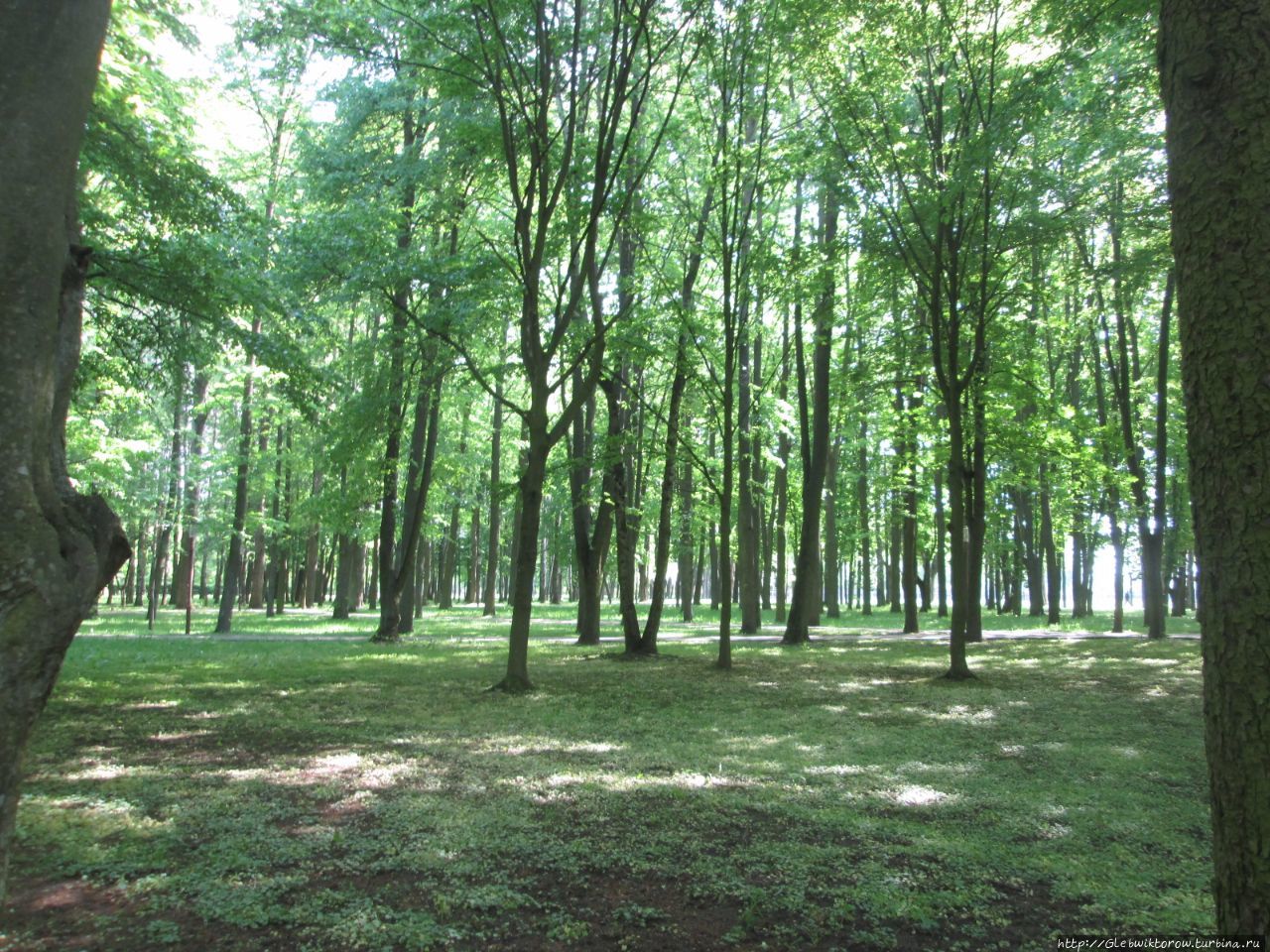 Парк Суворова Кобрин, Беларусь