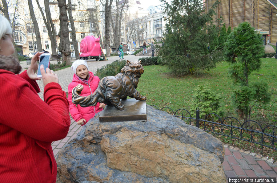 и второй котя, они с котом на дереве смотрят друг на друга Киев, Украина