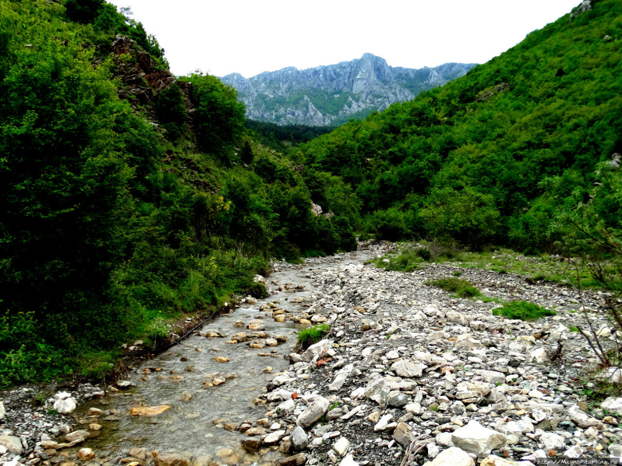 Эта речка была последней на нашем пути. В дальнейшем вода была только в колодцах. Бар, Черногория