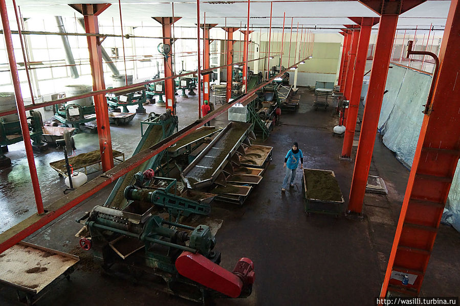 Цех по измельчению чайных листьев. Цех по измельчению чайных листьев.